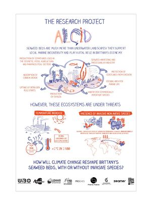 Infographie projet ALCID EN
