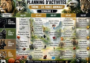 Planning multisports 6 à 11 ans : juillet 2026