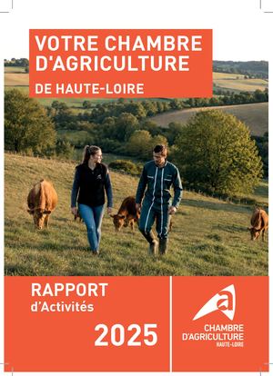 Bilan D'activités 2025