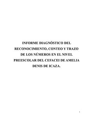 Informe Diagnóstico