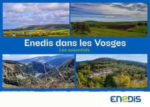 Guide Enedis - Les essentiels dans les Vosges