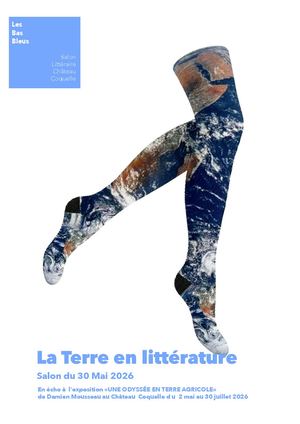 Les Bas Bleus Cr Salon Mai Terre A 09