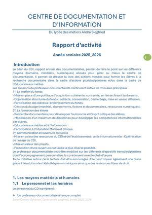 Rapport D'activité du CDI 2025 26