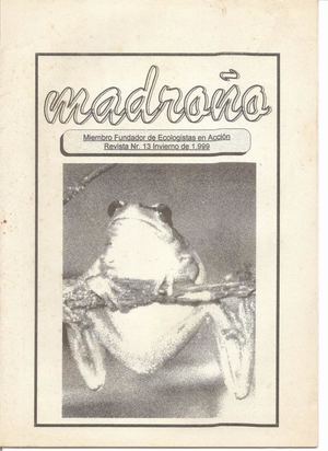 Madroño Nº 13