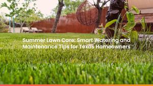 Summer Lawn Care: Smart Watering and Maintenance Tips for Texas Homeowners
