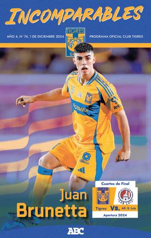 Pdm Tigres San Luis Digital Web