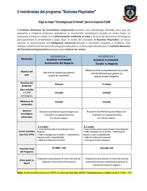 Plan Conviertete En Un Business Playmaker 2026