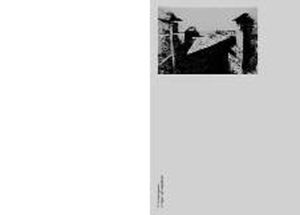 От гелиограмм к стрит-фотографиям