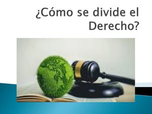 Cómo Se Divide El Derecho