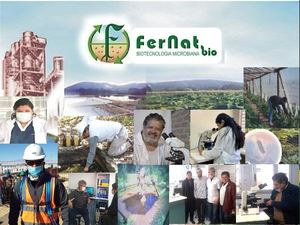 Fernat Inst Actualizacion 2026