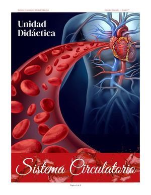 Unidad Didáctica Sistema Circulatorio 7 ° Grado