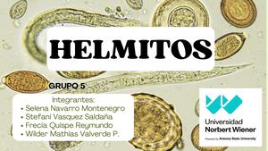 Semana 14 "Helmitos"