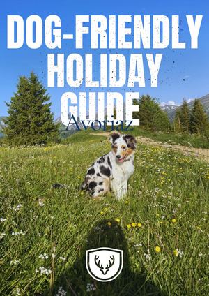 Guide Toutou En
