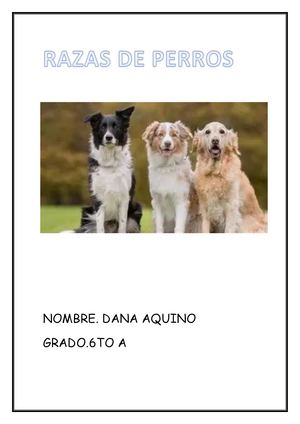Revista Digital Dana Aquino Pdf 20260628 160555 0000
