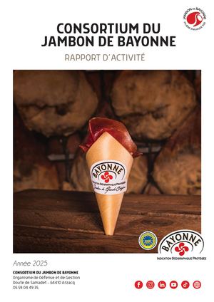 Rapport D'activité 2025