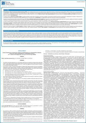 Terna Gazzettino 30 06