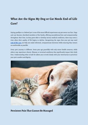 What Are The Signs My Dog Or Cat Needs End Of Life Care