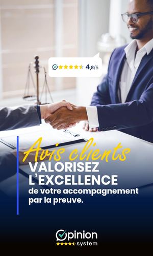 Opinion System Professions Reglementées