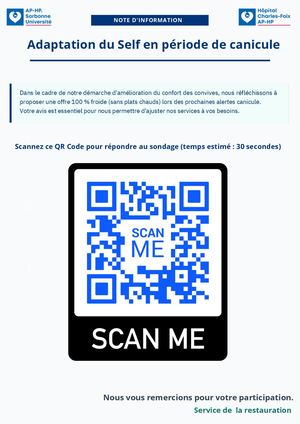 Affiche Enq Self