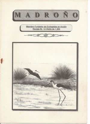 Madroño Nº 12