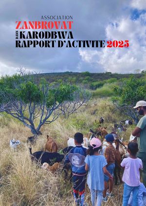 Rapport D'activité Et Bilan Financier Zdk 2025