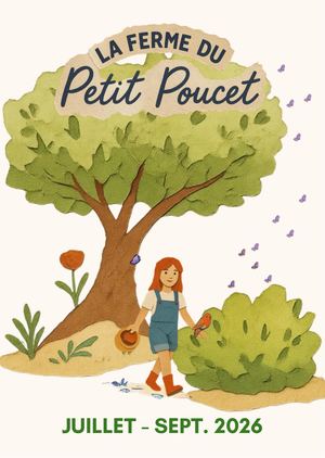 Programme été 2026 (juillet-septembre)