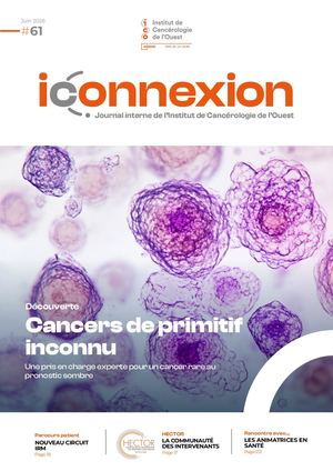 2026 06 17 Ico Iconnexion 61 Page