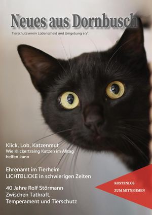 Magazin6:2026