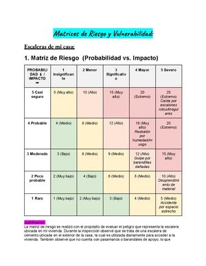 Matrices De Riesgo Y Vulnerabilidad