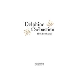 23x23 Delph Seb V2
