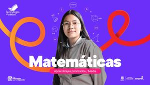 Mallas De Aprendizaje Media