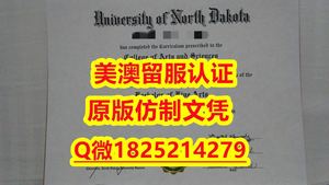 伪造【NIU毕业证成绩单制作要多久）Q微：1825214279制作NIU本科学历伪造美国北伊利诺伊大学硕士学位证书精仿北伊利诺伊大学文凭证书认证留信网和入学offer造假do Northern Illinois University diploma