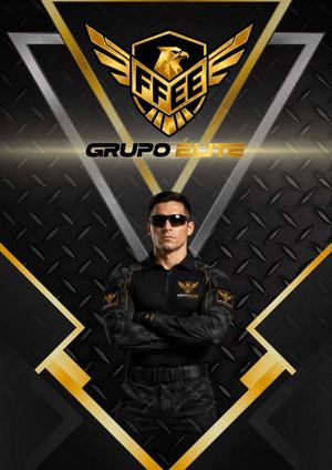 Brochure Ffee Grupo Elite