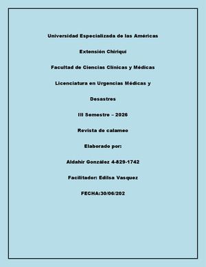 Revista