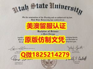 办理学士【UChicago毕业证成绩单制作要多久）Q微：1825214279制作UChicago本科学历伪造美国芝加哥大学硕士学位证书精仿芝加哥大学文凭证书认证留信网和入学offer造假do University of Chicago diploma