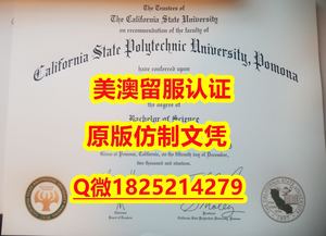 补办【CSUSB毕业证成绩单质量保证）Q微：1825214279制作CSUSB本科学历伪造美国加州州立大学圣贝纳迪诺分校大学硕士学位证书精仿加州州立大学圣贝纳迪诺分校文凭证书认证留信网和入学offer造假do California State University of San Bernardino Diploma