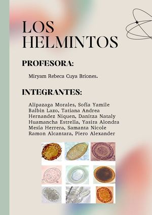 Los Helmintos