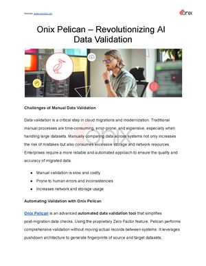 Onix Pelican – Revolutionizing Ai Data Validation