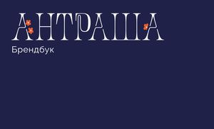 брендбук
