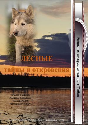 Лесные тайны и откровения