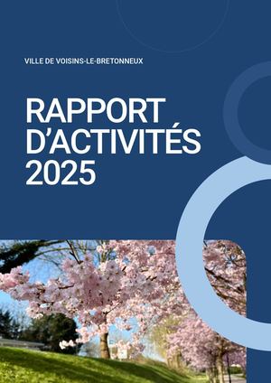 Rapport Activités 2025