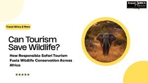 Can Tourism Save Wildlife? The Hidden Economics of Nature Travel