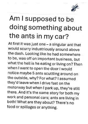 am i supposed to be doing something about the ants in my car