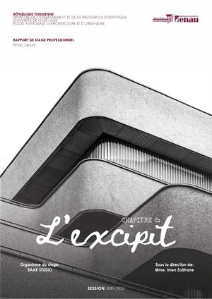 Rapport de Stage professionnel