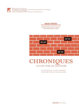 Rapport de stage professionnel