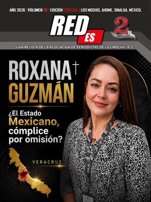 Redes Volumen 29 Junio 2026