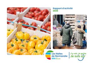 Min Rapport Activite 2025 Def Pap