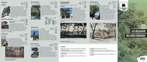 Circuits Patrimoniaux Pornic 2026 A la découverte des arbres balnéaires