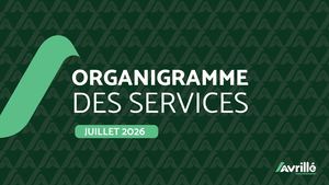 Organigramme Juillet 2026
