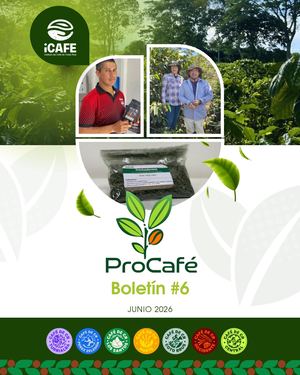 Boletín Procafé #6